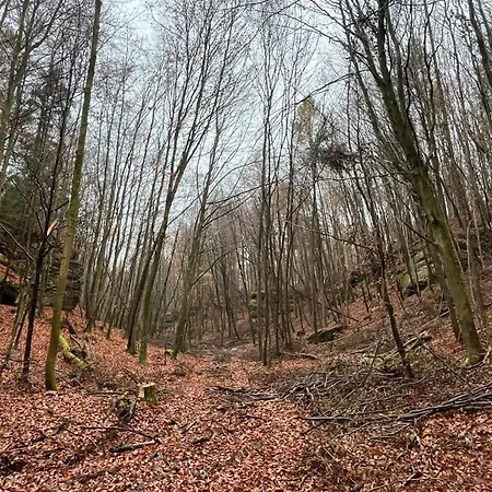 Wohlfuehl Mit Schoenem Balkon, Aussicht Und Kueche, Wehme Апартаменты Rosdorf (Lower-Saxony)